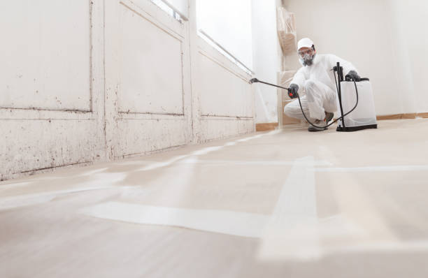 24/7 Emergency Basement Mold Remediation experts in Renovo, PA