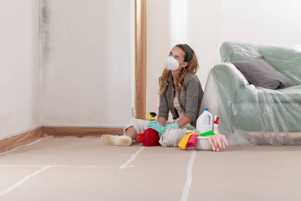Reliable Basement Mold Remediation contractor in Renovo, PA by WQB Mold Removal